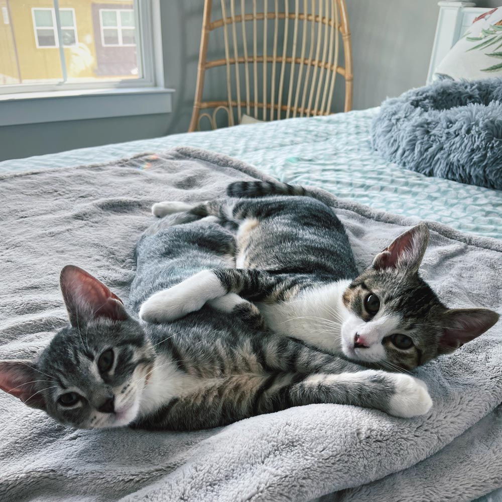 Ronin, and Finch<br />
